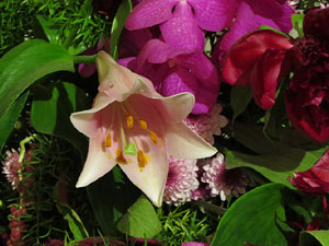 Temps de Flors 2017. Decoracions florals als diversos espais dels Soterranis de la Catedral
