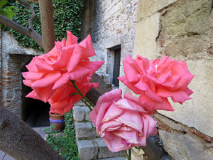 Temps de Flors 2017. Muntatge floral al Pati dels Rabins del Centre Bonastruc &ccedil;a Porta, en mem&ograve;ria de N&uacute;ria Ter&eacute;s