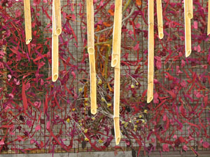 Temps de Flors 2017. Instal&middot;lacions i muntatges florals a l'antic cinema Modern