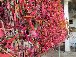 Temps de Flors 2017. Instal&middot;lacions i muntatges florals a l'antic cinema Modern