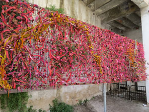 Temps de Flors 2017. Instal&middot;lacions i muntatges florals a l'antic cinema Modern