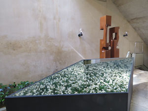 Temps de Flors 2017. Muntatges, instal&middot;lacions i exposicions florals a diversos indrets