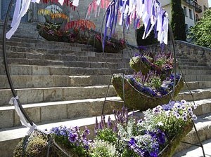 Temps de Flors 2017. Escalinates nord i principal de la bas&iacute;lica de Sant Feliu
