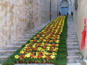 Temps de Flors 2017. Escalinates nord i principal de la bas&iacute;lica de Sant Feliu