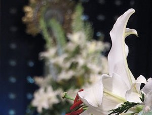 Temps de Flors 2017. Muntatges i instal&middot;lacions florals a la capella del Pilar de l'Esgl&eacute;sia del Carme