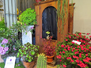 Temps de Flors 2017. Instal&middot;lacions i muntatges florals als diversos espais de l'Esgl&eacute;sia dels Dolors