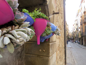 Temps de Flors 2017. Decoracions florals a les sis fonts del Barri Vell
