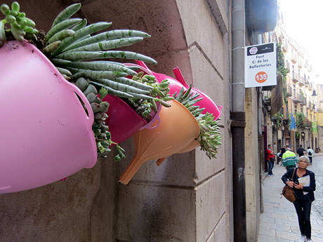 Temps de Flors 2017. Decoracions florals a les sis fonts del Barri Vell