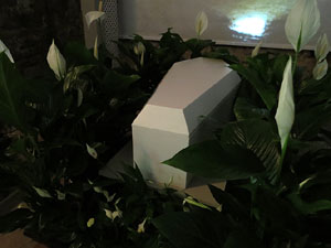 Temps de Flors 2017. Muntatge i instal&middot;laci&oacute; floral a l'entrada dels Soterranis de la Torre Gironella