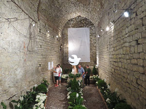 Temps de Flors 2017. Instal&middot;laci&oacute; floral Catalunya, terra de pau al soterrani II de la Torre Gironella