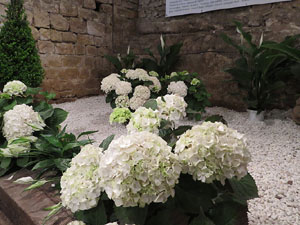 Temps de Flors 2017. Instal&middot;laci&oacute; floral Catalunya, terra de pau al soterrani II de la Torre Gironella