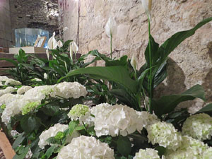 Temps de Flors 2017. Instal&middot;laci&oacute; floral Catalunya, terra de pau al soterrani II de la Torre Gironella