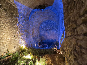 Temps de Flors 2017. Instal&middot;laci&oacute; floral La galerna de Pasqua al soterrani I de la Torre Gironella