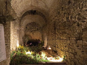 Temps de Flors 2017. Instal&middot;laci&oacute; floral La galerna de Pasqua al soterrani I de la Torre Gironella