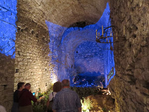 Temps de Flors 2017. Instal&middot;laci&oacute; floral La galerna de Pasqua al soterrani I de la Torre Gironella