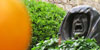 Els Jardins de la Francesa