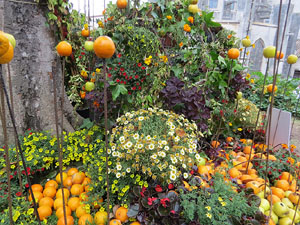 Temps de Flors 2017. Instal&middot;lacions i muntatges florals als Jardins de la Francesa, a tocar els absis de la Catedral