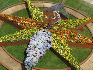 Temps de Flors 2017. Instal&middot;lacions i muntatges florals a la Pla&ccedil;a dels Jurats
