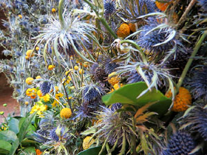 Temps de Flors 2017. Muntatges florals als diversos espais de la Casa Lle&oacute; Avinay, al Call jueu