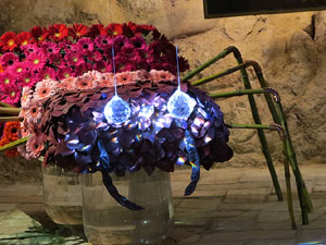 Temps de Flors 2017. Muntatges florals als diversos espais de la Casa Lle&oacute; Avinay, al Call jueu