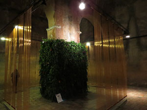 Temps de Flors 2017. Instal&middot;lacions als espais del Museu d'Hist&ograve;ria La Carbonera i La Cisterna