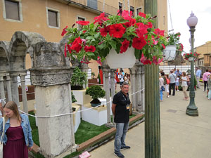 Temps de Flors 2017. Mostra de bonsais a la terrassa del Museu d'Hist&ograve;ria