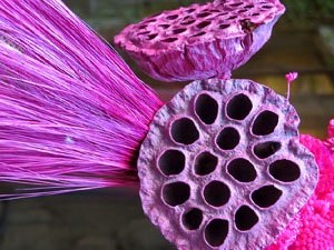 Temps de Flors 2017. Muntatges i instal&middot;lacions a La Pabordia
