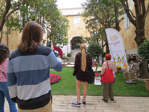 Temps de Flors 2017. Decoraci&oacute; floral del Pati de les Magn&ograve;lies, a la Seu del Govern de la Generalitat de Catalunya a Girona, amb azalees de Gant, B&egrave;lgica