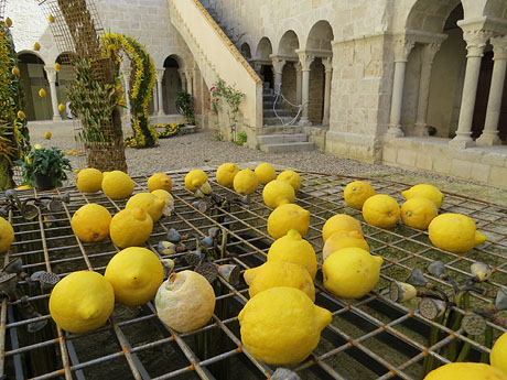 Temps de Flors 2017. Instal&middot;lacions i decoracions florals al claustre rom&agrave;nic del monestir de Sant Daniel