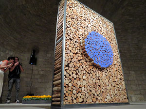 Temps de Flors 2017. Instal&middot;laci&oacute; Epig&egrave;nesi a la nau rom&agrave;nica de Sant Nicolau