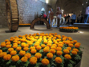Temps de Flors 2017. Instal&middot;laci&oacute; Epig&egrave;nesi a la nau rom&agrave;nica de Sant Nicolau