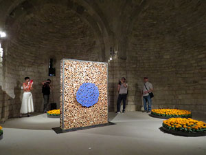 Temps de Flors 2017. Instal&middot;laci&oacute; Epig&egrave;nesi a la nau rom&agrave;nica de Sant Nicolau