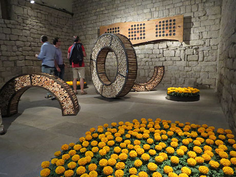 Temps de Flors 2017. Instal&middot;laci&oacute; Epig&egrave;nesi a la nau rom&agrave;nica de Sant Nicolau