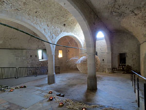 Temps de Flors 2017. Instal&middot;laci&oacute; Cris&agrave;lide a l'interior de la capella de Santa Ll&uacute;cia