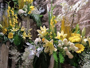 Temps de Flors 2017. Decoracions florals als baixos de l'edifici de les Sarra&iuml;nes