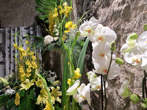 Temps de Flors 2017. Decoracions florals als baixos de l'edifici de les Sarra&iuml;nes