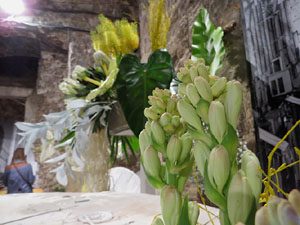 Temps de Flors 2017. Decoracions florals als baixos de l'edifici de les Sarra&iuml;nes