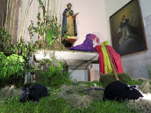 Temps de Flors 2017. Instal&middot;lacions i muntatges florals a l'Esgl&eacute;sia de Sant Mart&iacute; - Seminari