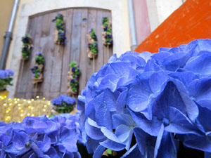 Temps de Flors 2017. Instal&middot;laci&oacute; 'L'&agrave;nima de les flors' a la travessia Auriga - pla&ccedil;a Bell-lloc