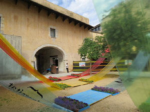 Temps de Flors 2017. Instal&middot;lacions i muntatges florals a diversos espais de la UdG: escales i pla&ccedil;a de Sant Dom&egrave;nec, pati de l'edifici de les &Agrave;ligues