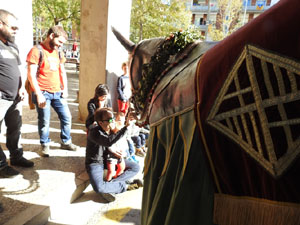 Fires 2017. 36a. Trobada de Gegants de Fires de Sant Narc&iacute;s