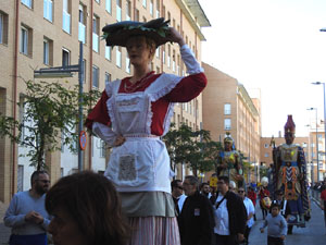 Fires 2017. 36a. Trobada de Gegants de Fires de Sant Narc&iacute;s