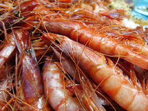 Girona10 2018. Tastets gastron&ograve;mics al Mercat del Lle&oacute; de Girona