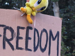 Manifestaci&oacute; 'Rep&uacute;blica!' pels carrers de la ciutat i el Parc de la Devesa