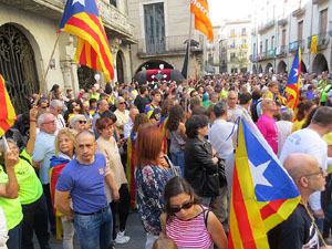 Marat&oacute; per la democr&agrave;cia. Concentraci&oacute; i parlaments a la pla&ccedil;a del Vi
