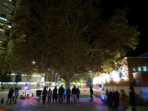 L'Arbre de la Llum, a la pla&ccedil;a Calvet i Rubalcava