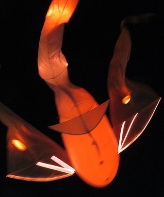 Espectacle 'Les Lumin&eacute;oles' al Parc Central