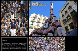 Anar