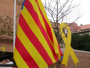 Concentraci&oacute; 'Puigdemont President' davant la Subdelegaci&oacute; del Govern a Jaume I