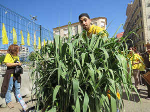 Festes de Primavera de Girona 2018. Cercavila amb el Tarl&agrave;